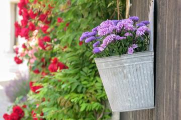 flowers in basket on the wall