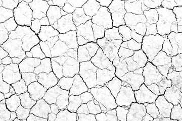 Fototapeten Texture soil dry crack background pattern of drought lack of water of nature white black old broken. © Kamjana