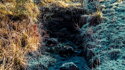 Small rocky stream in forest