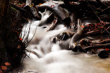 Waterfall Flowing Water Smooth Fog River Sea Wood Forest