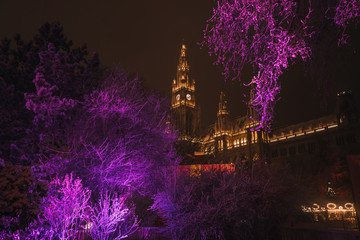 Trees in the snow with the illuminated clock tower of city hall - rathaus in Vienna at night, Austria.Vienna City Hall in New Year's decoration with bright trees in the foreground