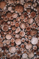 Möbelaufkleber A lot of round firewood on top of each other © Дмитрий Серебряков
