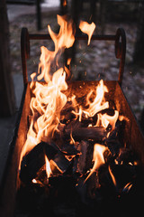 Burning firewood in the fireplace. Bonfire photo