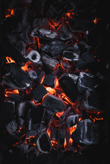 Orange hot coals in a bonfire.