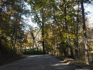 Scenic drive along winding road and colorful trees in autumn, Arkansas.
