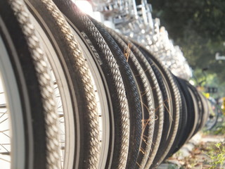 A close-up of rows of bicycle wheels