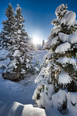 Idyllische Winterlandschaft in den Alpen (Österreich, Vorarlberg, Montafon)