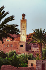 Obraz premium Storks nesting on old Moroccan monuments with blue sky
