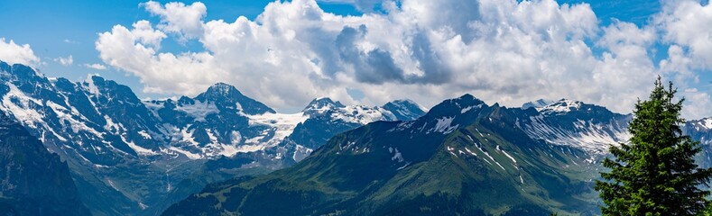 Switzerland, Panoramic view on green Alps from Schynige Platte