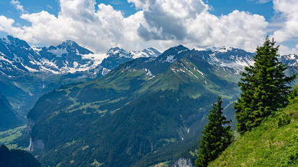 Fototapeta premium Switzerland, Panoramic view on green Alps from Schynige Platte