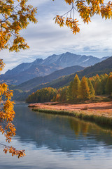 The Sils lake, the forest, the nature and the alps near the village of Maloja, Engadin, Switzerland - October 2019.