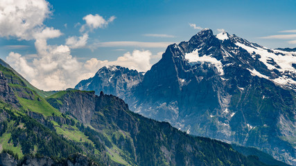 Switzerland, Panoramic view on green Alps and Wetterhorn from Schynige Platte