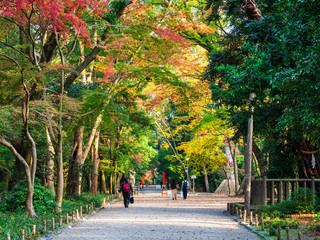 Fototapeta premium 秋の京都 下鴨神社 参道