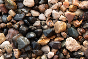 background of gravel stones of different colors with autumn leaves