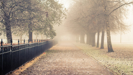 A pathway in fog