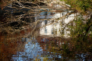 House and Discolored golden autumn leaves as water reflection