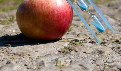 Transparent hourglass with blue sand and ripe red apple against dried dirty soil, time concept