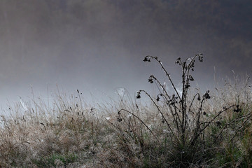 Fototapeta premium Landscapes and scenerise from England