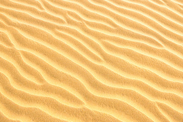 Pebble lying on texture of yellow sand dunes. Can be used as natural background