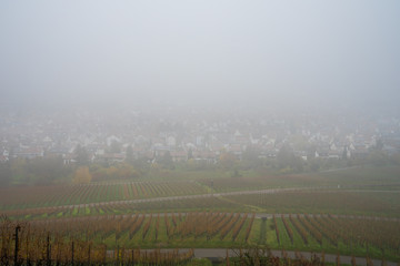 Germany, City fellbach near stuttgart in foggy autumn atmosphere, aerial view above vineyards over...