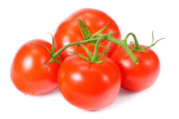fresh tomatoes isolated on a white background