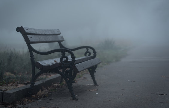 Wooden bench in the park a foggy day