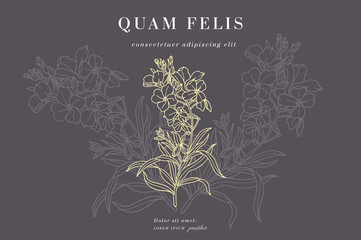 Vintage card with forget me not flowers. Floral wreath. Flower frame for flowershop with label designs. Summer floral greeting card