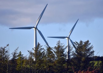Wind turbine on a field in Anglesey