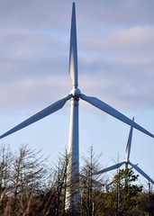 Wind turbine on a field in Anglesey
