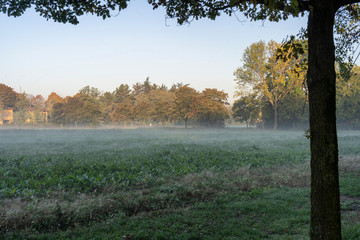 Parco Nord of Milan in a October morning
