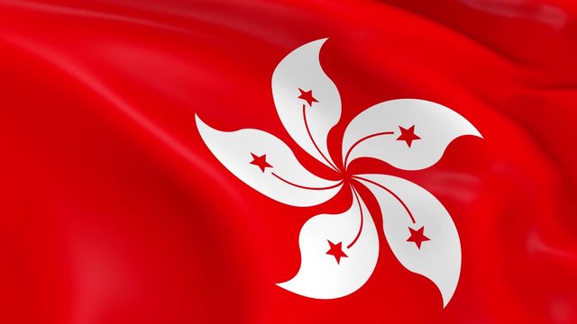 Photo realistic slow motion 4KHD flag of the Hong Kong waving in the wind.  Seamless loop animation with highly detailed fabric texture in 4K resolution.