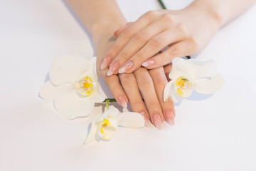Beautiful soft woman hands with light manicure hand care and spa relaxing white orchid