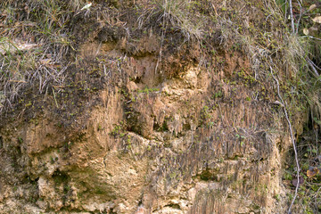 Cross section of sandy soil, relief vertical cut closeup, textured background image