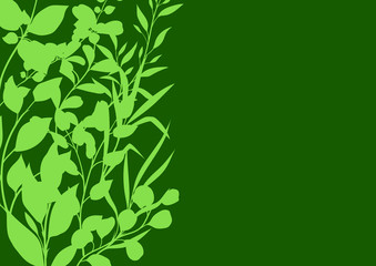 Background of sprigs with green leaves.