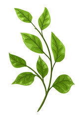 Illustration of sprig with green leaves.