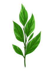 Illustration of sprig with green leaves.