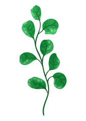 Illustration of sprig with green leaves.