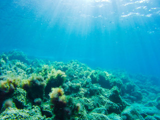 Fototapeta na wymiar Underwater photograph of rock formations in the Mediterranean Sea