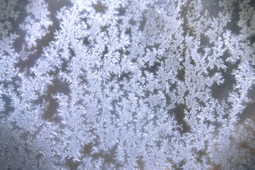 Rime on the glass. Beautiful winter abstract natural background