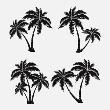 set of silhouettes of palm trees, exotic symbol, realistic style