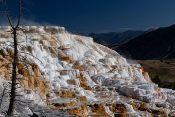 Fototapeta na wymiar A view of the travertine terraces at Mammoth Hot Springs in Yellowstone National Park