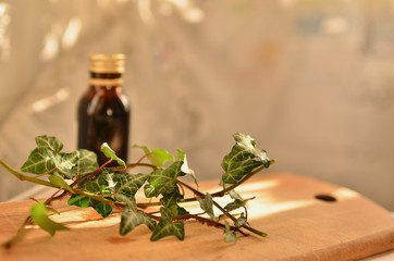 The medicinal plants are flat. Cough prescription. The medicine at home. Alternative, traditional medicine. Ivy medicinal lies on a wooden plank.