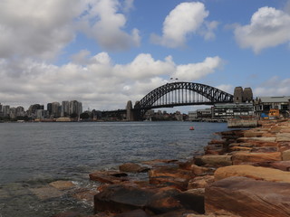 Fototapeta premium Sydney Harbour Foreshore