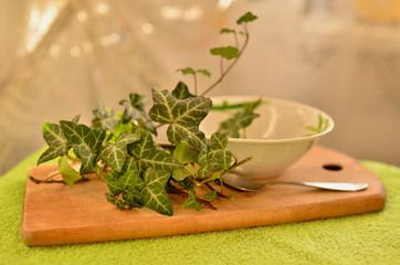 The medicinal plants are flat. Cough prescription. The medicine at home. Alternative, traditional...
