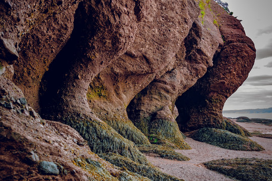 Sunset In Hopewell Rocks At Low Tide