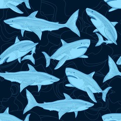 Shark pattern. Nautical ocean sea scare big fish animal tropical seamless background. Fish ocean, sea wildlife shark illustration