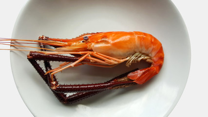 river shrimp food on plate isolated on background with die cut clipping part