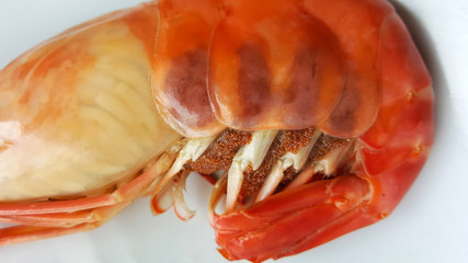 river shrimp food  isolated on background
