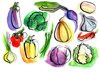  Set of vegetables drawn in watercolor with graphic elements.