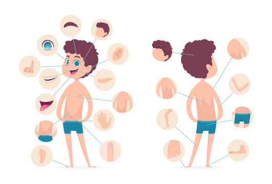 Boy body parts. Young human school male kid anatomy hands legs fingers head vector cartoon character. Human male body, finger and head, toe and knee illustration